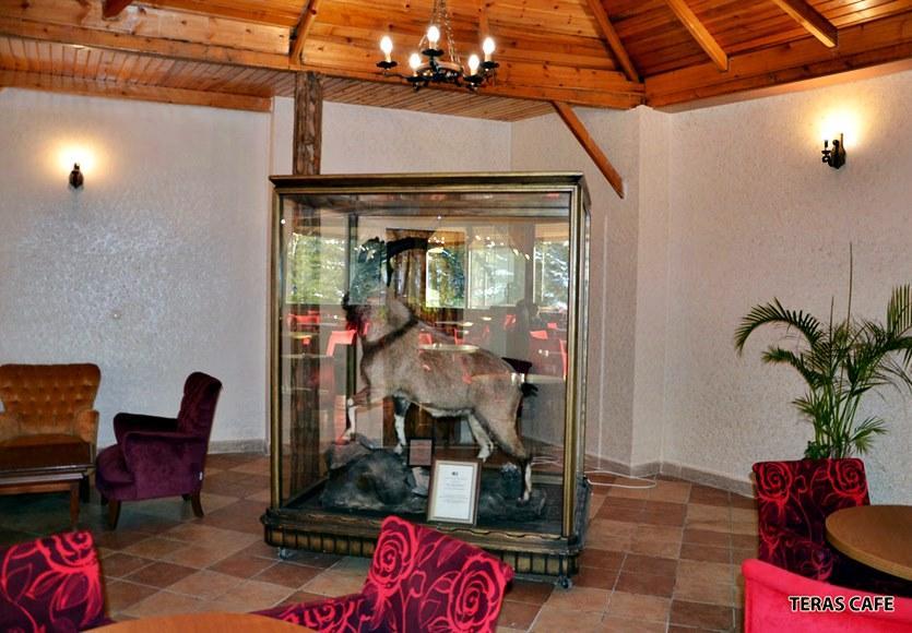 Patalya Thermal Resort Hotel Kızılcahamam Esterno foto
